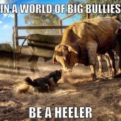in a world of bullies.webp