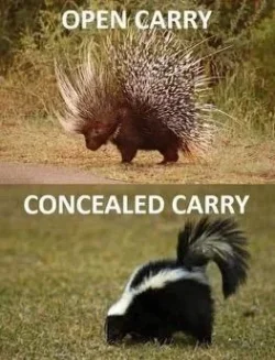 concealed carry.webp